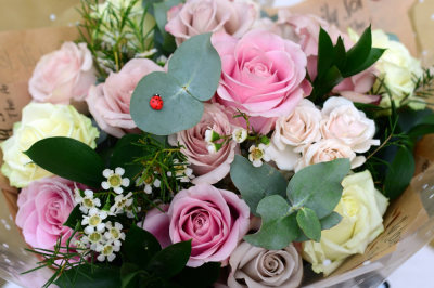Pastel Perfection - This stylish hand-tied bouquet is the height of sophistication. The generous selection of exquisite, long-stemmed roses in the softest shade of pink look simply stunning. This is a bouquet of the very finest quality.