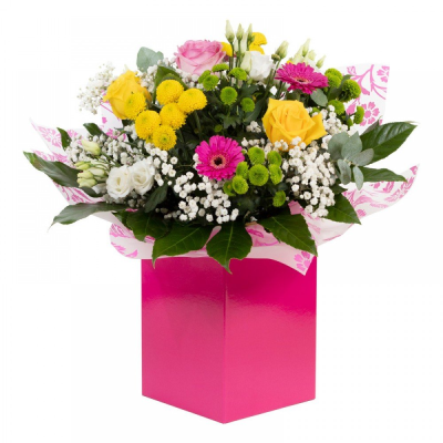 Mamma Mia - Delivered by local florists. Prices may vary by area. Brighten their day with this punchy mix of gerberas and colour-pop blooms, beautifully arranged in a hot pink gift box. Same-day delivery available—just order by 2pm!