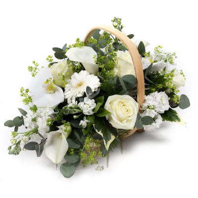 Scented Moonlight - A graceful basket of ivory blooms — effortlessly elegant and full of charm.
