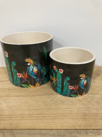 Safari Pots ( set of 2) - For plantsor just decoration. These caramic pots can be added to any flower order.